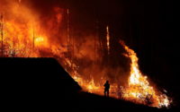 Forest burns close to houses, fireman silhouette