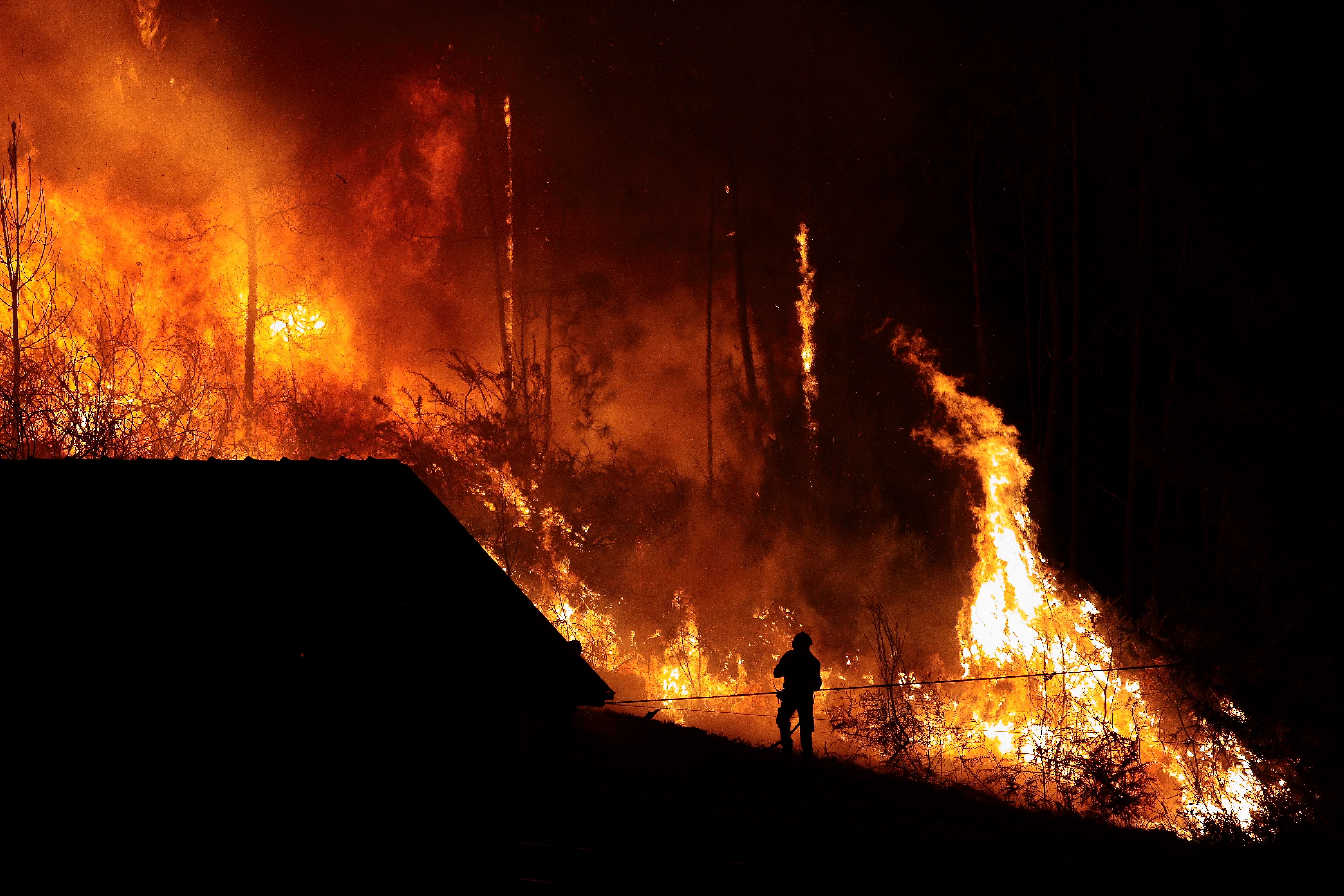 Forest burns close to houses, fireman silhouette