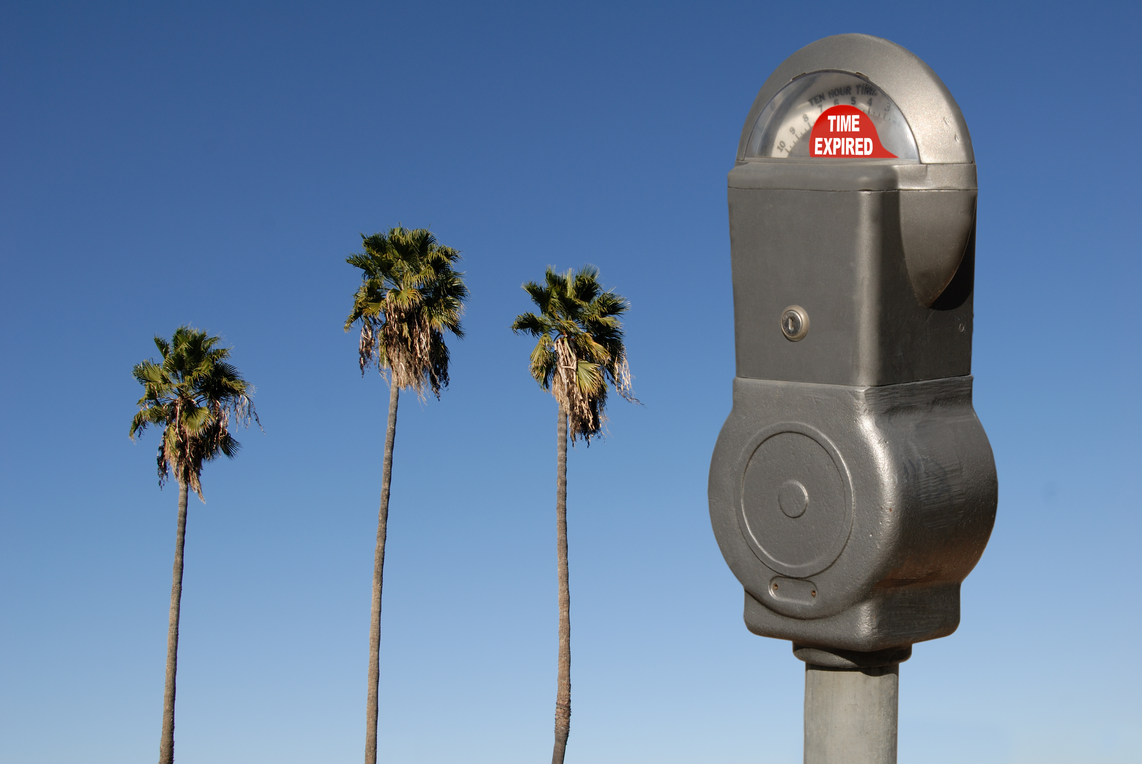 Photo: parking meter and 3 palm trees