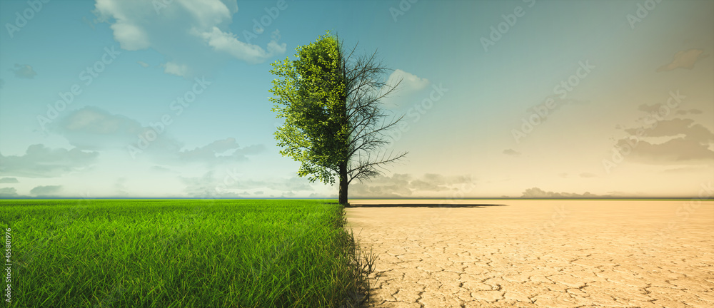 Belief Gaps: How Partisan Geography is Reshaping Climate Attitudes in America